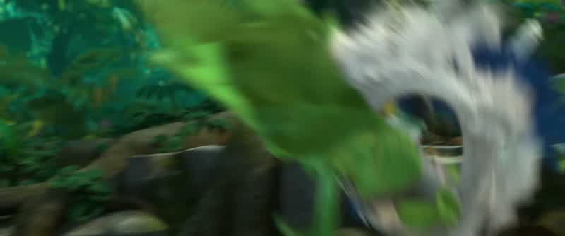 Bow before the conquering cockatoo
