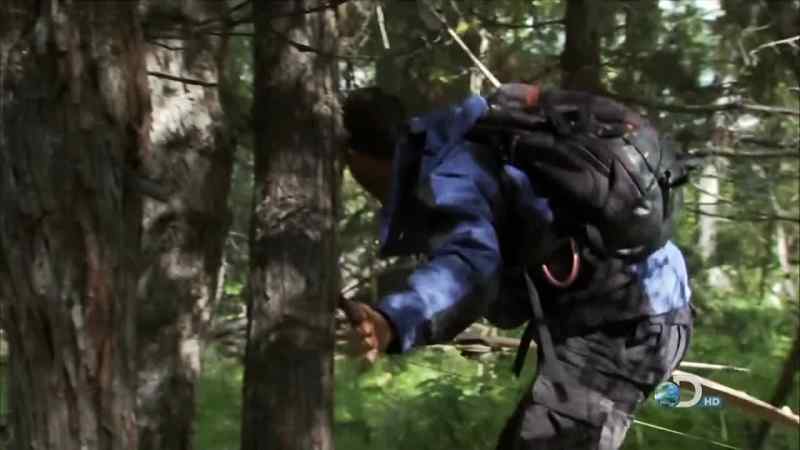 BOW HUNTERS WOULD NORMALLY ACTUALLY OFTEN SCOUT AN AREA