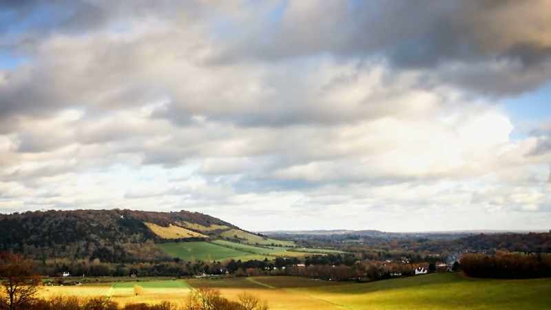 Box Hill is the highest summit on the North Downs