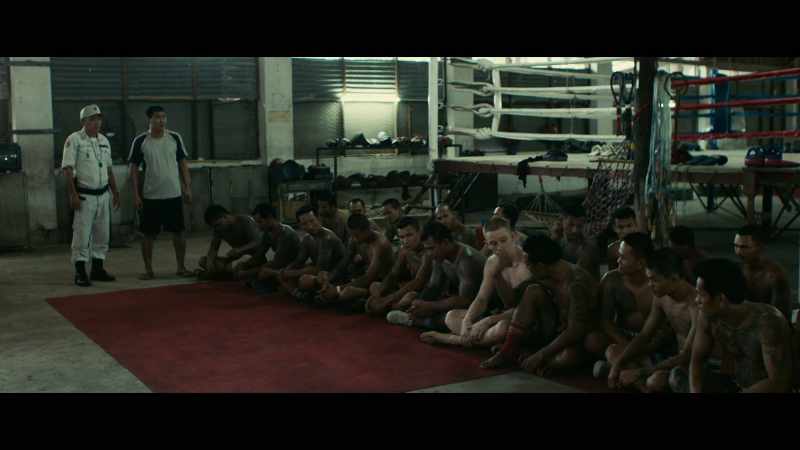 BOXERS SHOUT ROLL CALL