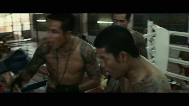 BOXERS SHOUT