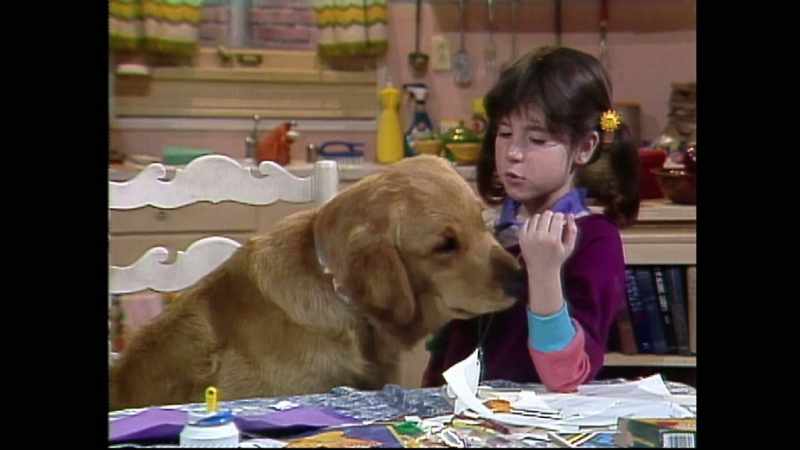 Boy, Brandon, if you had a doghouse