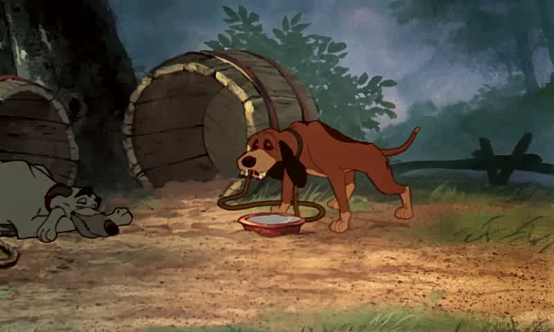 Boy, it's great to be back home, isn't it, chief?