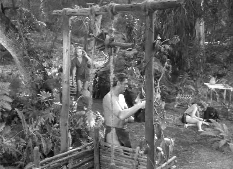 Boy, look, jungle water pure