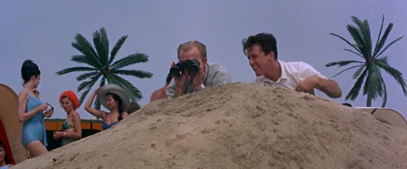 Boy the beach sure is crowded huh Andy