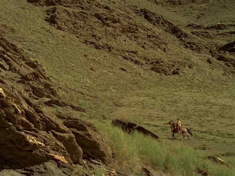 Boy! The mare's not here