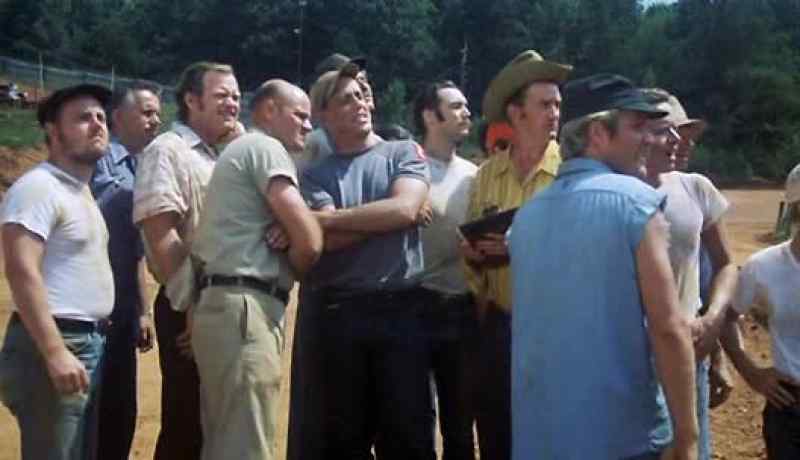 Boys look over yonder