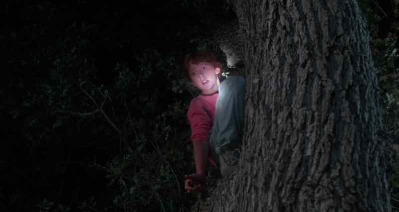 Brad, what the hell are you doing up there?