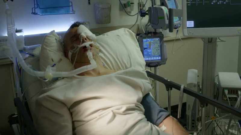 Brain death is different from being in a vegetative state