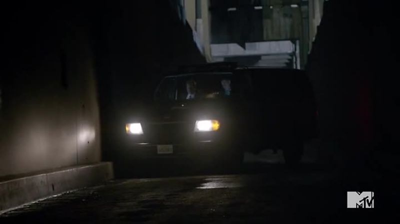 (BRAKES SCREECHING)
