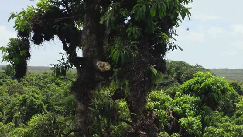 Branch by branch