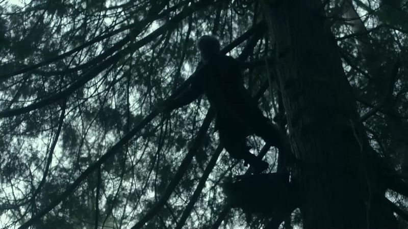 [branch rustles]