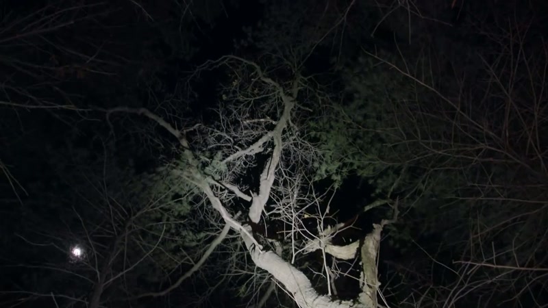 [branch snaps, footsteps]