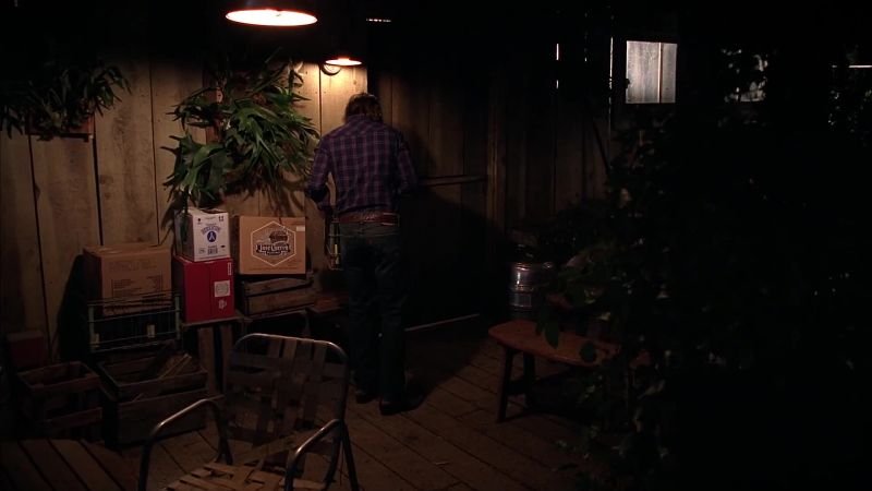 [BRANCH SNAPS]