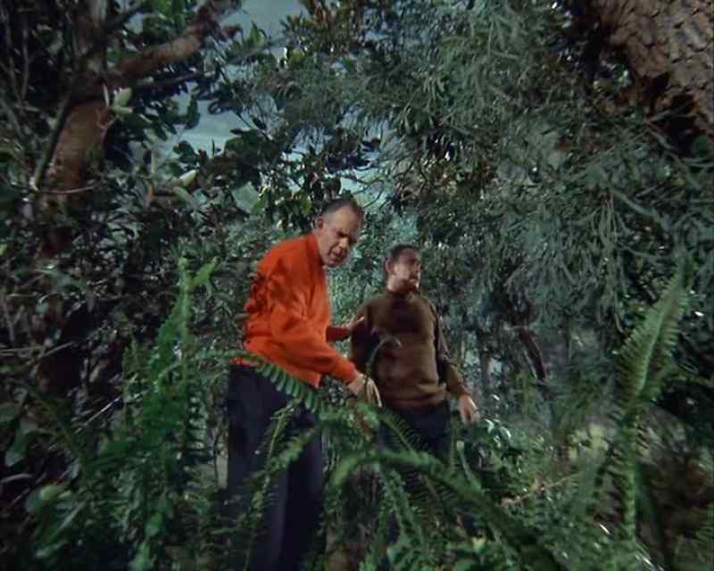 [ Branch snaps ] - Take cover!