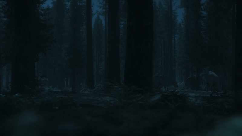 [branches cracking]