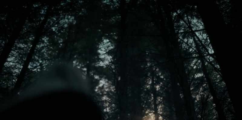 [branches rustling faintly]