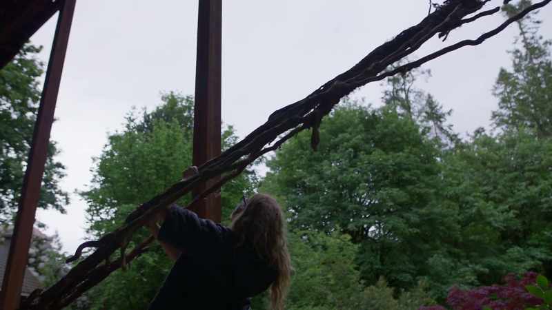 (branches rustling)