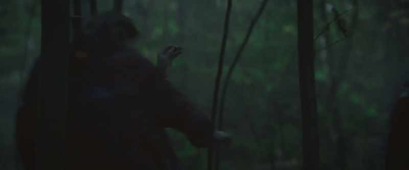 [branches snapping]
