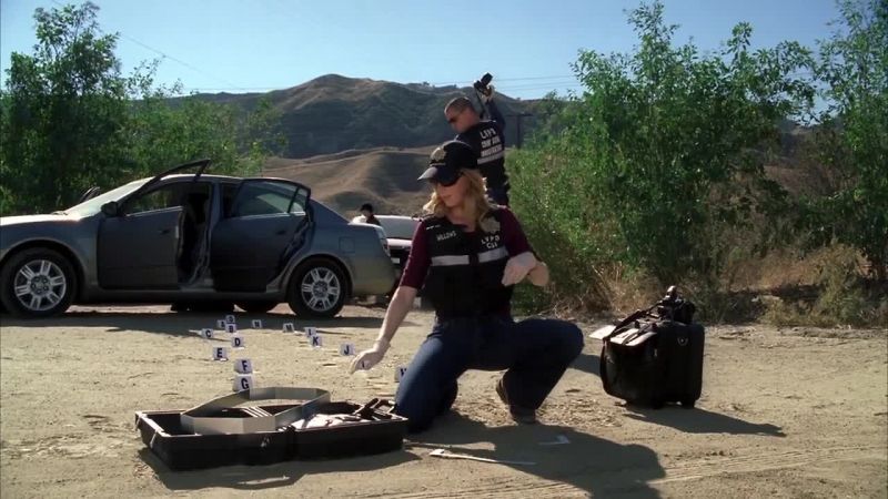 BRASS: So CSI got a fingerprint