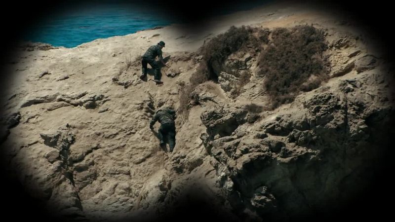 Bravo 1, we've got sharks about