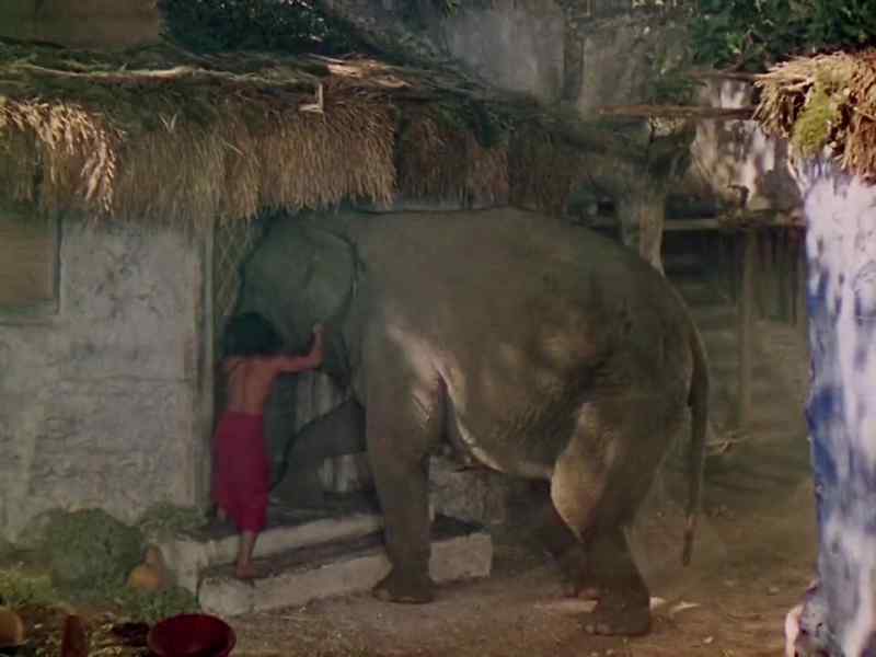 Break the door, Hathi. Break the door