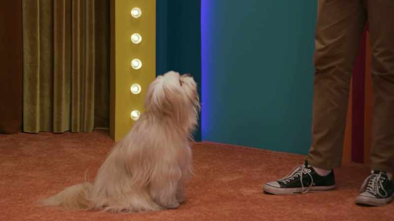 (Brennan imitates a dog barking)