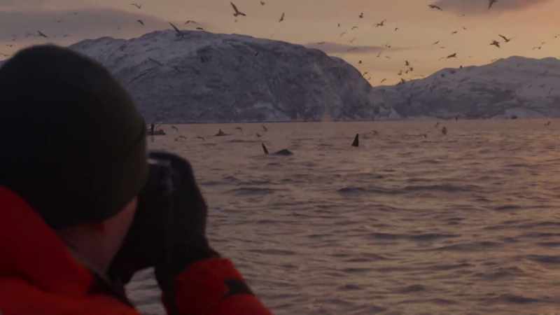 ''Brian Skerry is here to see these techniques for himself.''
