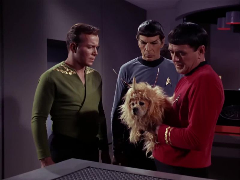 Bridge to Captain Kirk here
