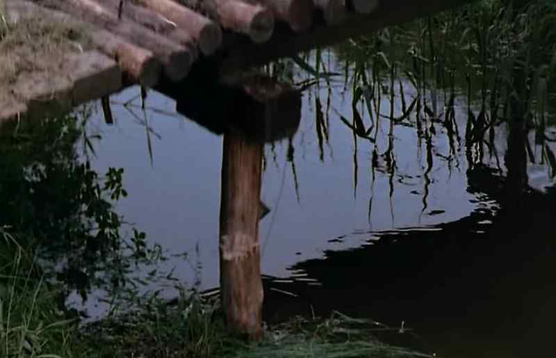 (bridge cracking)
