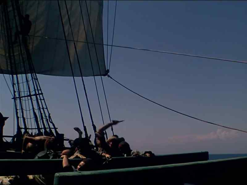 Bring down the Captain!