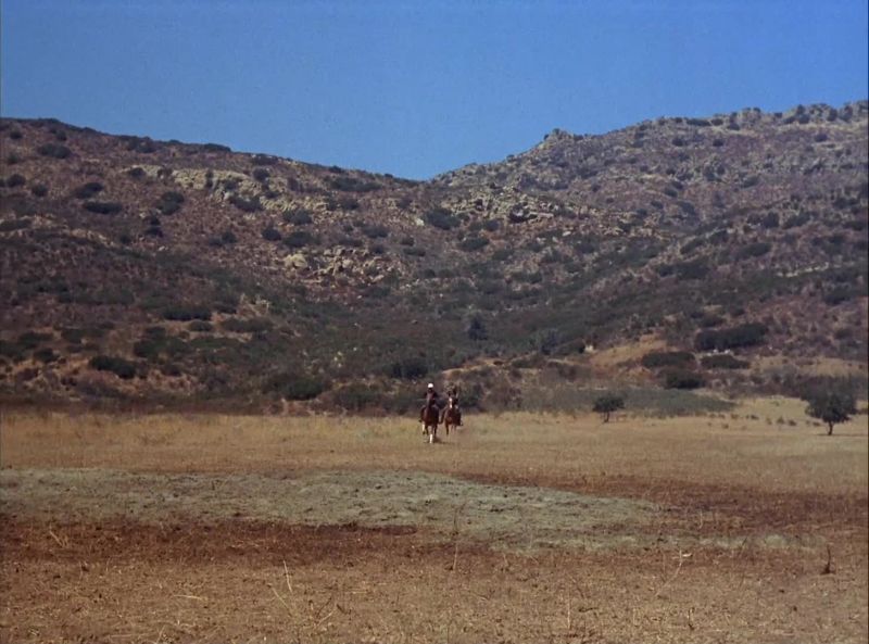 Bring him in, Trampas!