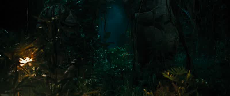 Bring me that jewel!