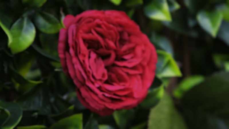 BRITNEY: I am where I am today‐‐