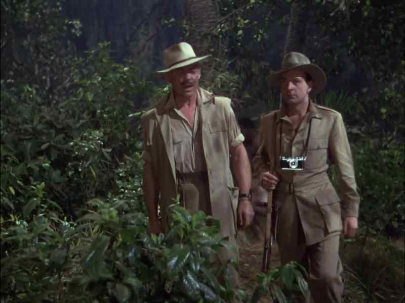 Brownie. You and Boltchak check the nets on the other side