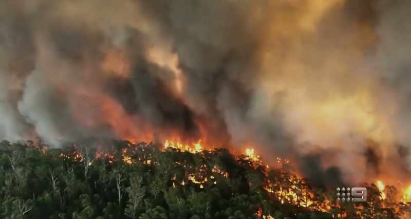 BRUCE BUCKLEY: The bushfires extended
