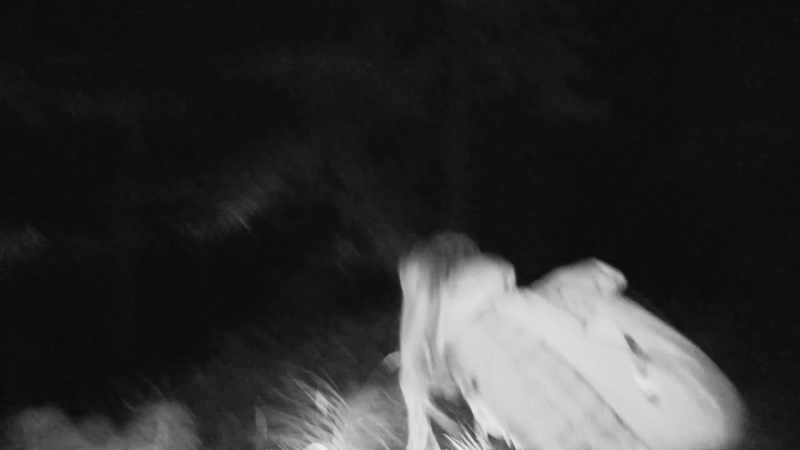 [Bruce] If you see lights at night time in the woods