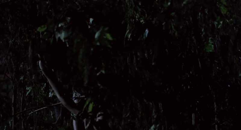 [brush crunching]