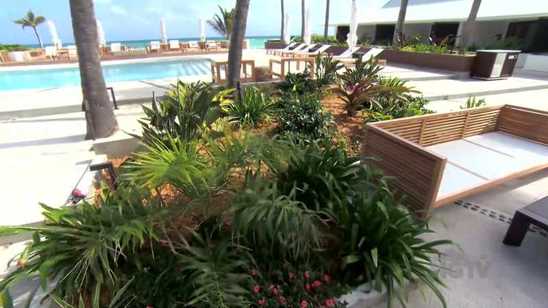 Bryan: With all the new plants and trees