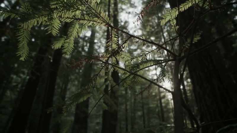 [Bryce] Near the area where they spotted
