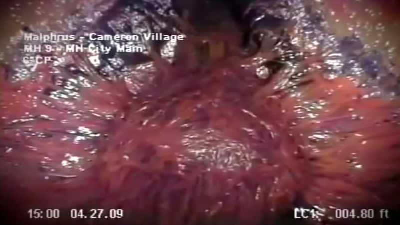 Buchan: WHEN YOU LOOK AT THE FOOTAGE