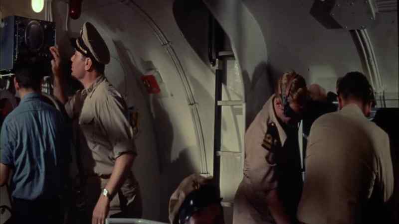 Buckeye, check for damage!