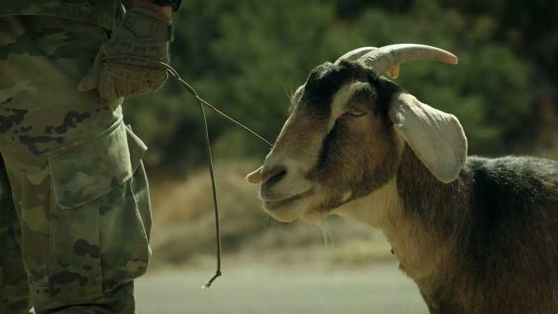 Buckley's spirit is in this goat