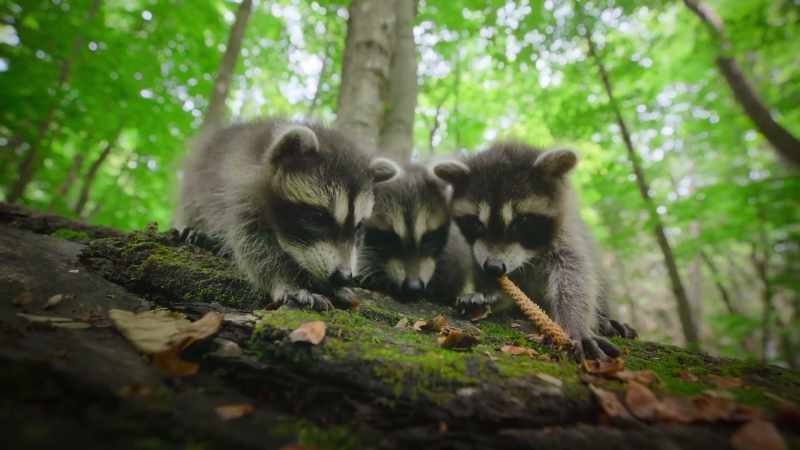 Budding explorers, they are into everything