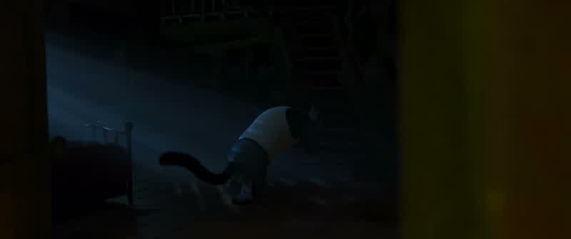 Buddy? Are you... okay?