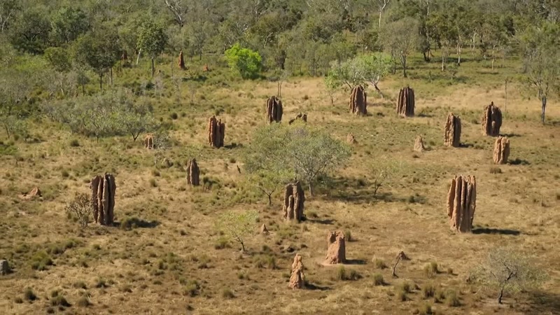 Built up to eight meters tall