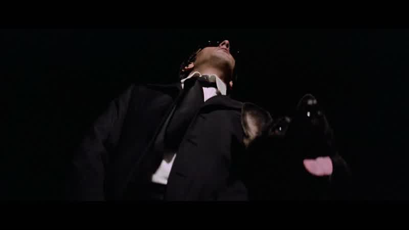 Buono. Che c'è? Buono, andiamo. Andiamo