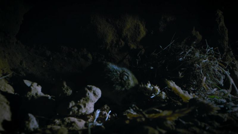 Buried treasure
