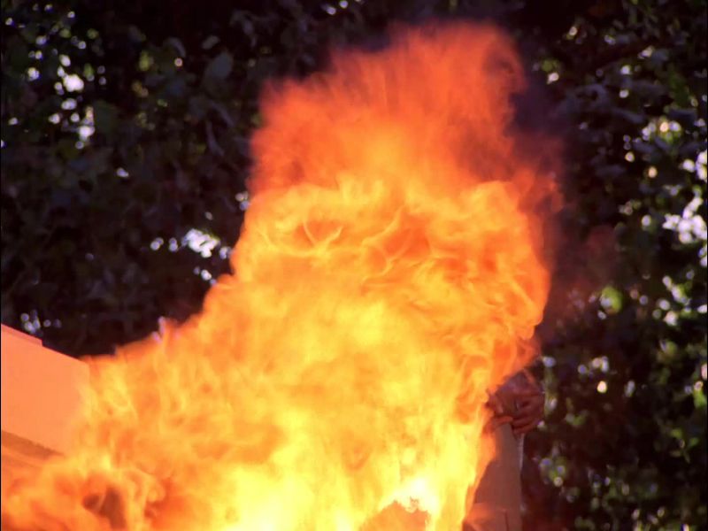 Burn them