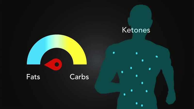 Burning fat produces substances called ketones